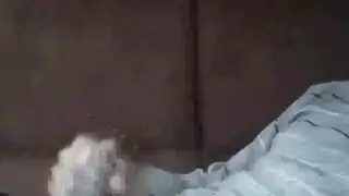 فيلم إباحي مراهقات مع لاتينيات وإنجليزيات في شرج صريح