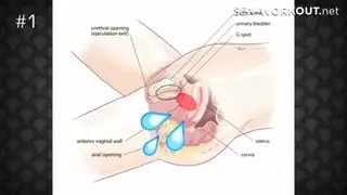 خيال إباحي: المالك يستخدم الخادمة في ممارسات جنسية منحرفة