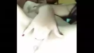 الحمار الكبير شخ الشرب حديقة