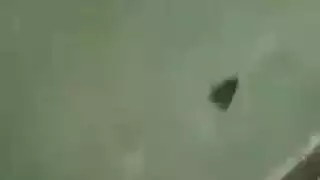 منتديات التشيكية في العام فرتس قديم