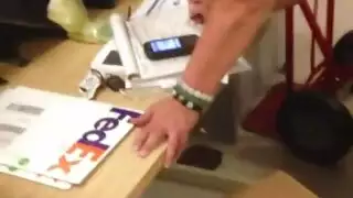 اصبحت حبلة